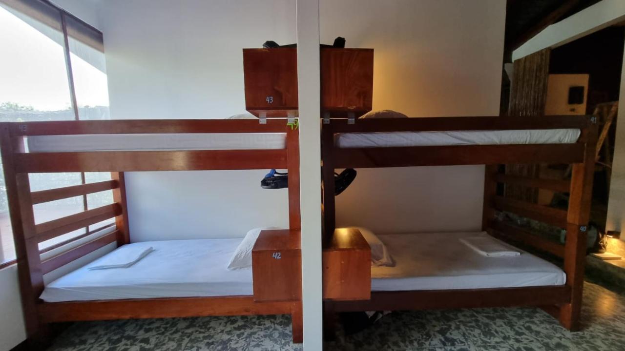 Paradiso Hostel La Laguna Екстер'єр фото
